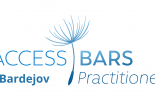 Access Bars